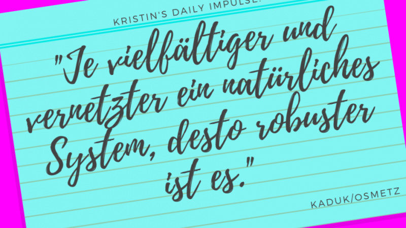 Kristin’s daily impulse #292